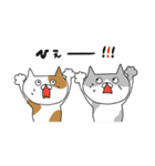 ぶちゃねこたち。（個別スタンプ：21）