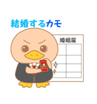 かもカモスタンプ（個別スタンプ：40）