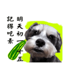 My Schnauzer IV（個別スタンプ：15）