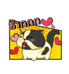 The munchkin cat " Kaminn"（個別スタンプ：1）