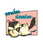 The munchkin cat " Kaminn"（個別スタンプ：2）