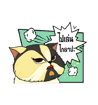 The munchkin cat " Kaminn"（個別スタンプ：4）