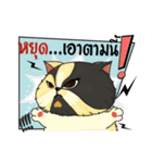 The munchkin cat " Kaminn"（個別スタンプ：5）