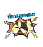 The munchkin cat " Kaminn"（個別スタンプ：6）