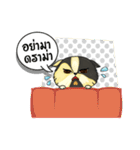The munchkin cat " Kaminn"（個別スタンプ：8）