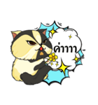 The munchkin cat " Kaminn"（個別スタンプ：11）