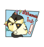The munchkin cat " Kaminn"（個別スタンプ：12）