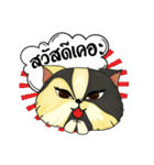 The munchkin cat " Kaminn"（個別スタンプ：13）