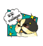 The munchkin cat " Kaminn"（個別スタンプ：15）