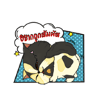 The munchkin cat " Kaminn"（個別スタンプ：16）