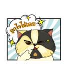 The munchkin cat " Kaminn"（個別スタンプ：17）