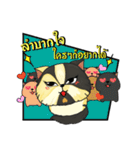 The munchkin cat " Kaminn"（個別スタンプ：19）