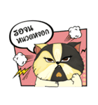 The munchkin cat " Kaminn"（個別スタンプ：22）