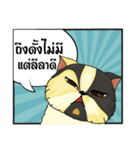 The munchkin cat " Kaminn"（個別スタンプ：23）