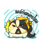 The munchkin cat " Kaminn"（個別スタンプ：26）