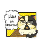 The munchkin cat " Kaminn"（個別スタンプ：27）