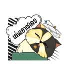 The munchkin cat " Kaminn"（個別スタンプ：28）