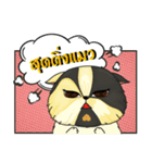 The munchkin cat " Kaminn"（個別スタンプ：29）