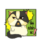 The munchkin cat " Kaminn"（個別スタンプ：35）