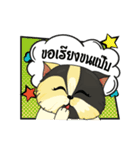 The munchkin cat " Kaminn"（個別スタンプ：36）
