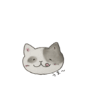 コントラバス弾きの子猫ちゃん（個別スタンプ：12）