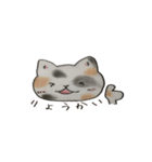 コントラバス弾きの子猫ちゃん（個別スタンプ：16）
