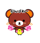 クマひよ（個別スタンプ：21）