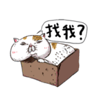 eh！cat！1（個別スタンプ：1）