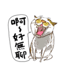 eh！cat！1（個別スタンプ：4）