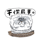 eh！cat！1（個別スタンプ：6）