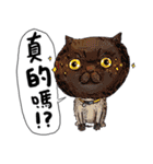 eh！cat！1（個別スタンプ：10）