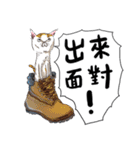 eh！cat！1（個別スタンプ：13）