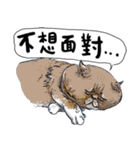 eh！cat！1（個別スタンプ：14）