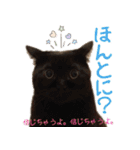 猫にゃ・にゃ・にゃ！（個別スタンプ：38）