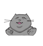 キャットマンショー（個別スタンプ：34）