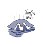 This is not Penguin（個別スタンプ：5）