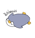 This is not Penguin（個別スタンプ：7）