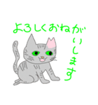 さくらねこと花猫（個別スタンプ：7）