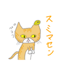 さくらねこと花猫（個別スタンプ：13）