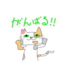 さくらねこと花猫（個別スタンプ：24）