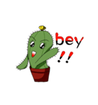 cactus Daily life（個別スタンプ：5）