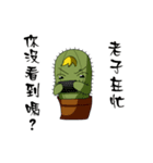cactus Daily life（個別スタンプ：18）