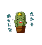 cactus Daily life（個別スタンプ：19）