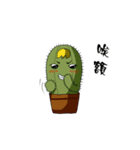 cactus Daily life（個別スタンプ：29）