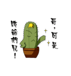 cactus Daily life（個別スタンプ：35）