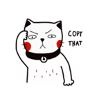 CatMaew（個別スタンプ：5）