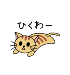 きちくねこ（個別スタンプ：5）