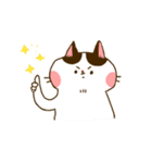 Jane-Jane cat（個別スタンプ：8）