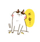 Jane-Jane cat（個別スタンプ：9）