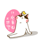 Jane-Jane cat（個別スタンプ：10）